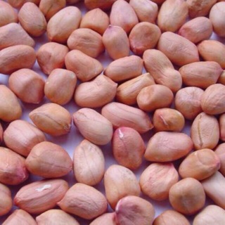 Đậu phộng sống chưa rang