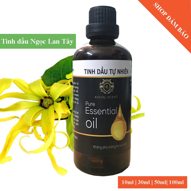 Tinh dầu tự nhiên nguyên chất xông phòng Royal Scent