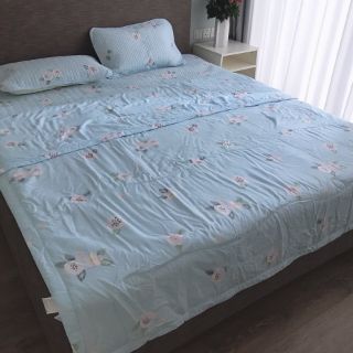 Chiếu lụa điều hòa 2*2,2m