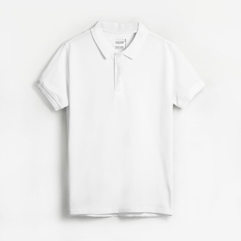 ANA15 - ÁO POLO NAM TRƠN CỔ DỆT SỌC GALV | BigBuy360 - bigbuy360.vn