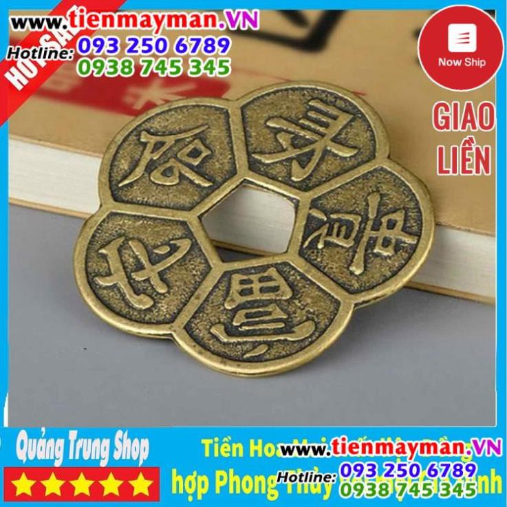 Đồng Tiền Hoa Mai ⭐FREESHIP⭐ Kim Tiền Tài Lộc | BigBuy360 - bigbuy360.vn
