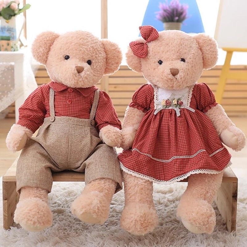 Cặp đội gấu bông Teddy 65cm hít nam châm tay- Thú nhồi bông Teddy mềm mịn đáng iu tại Nguyên  Gia group Cao Đạt quận 5