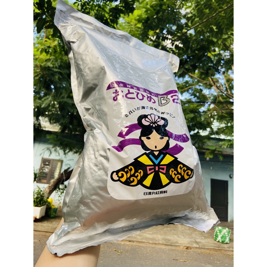 Cám Nhật B2 Chuyên dụng cho cá Guppy,bảy màu và cá cảnh nhỏ hủ 50-10G