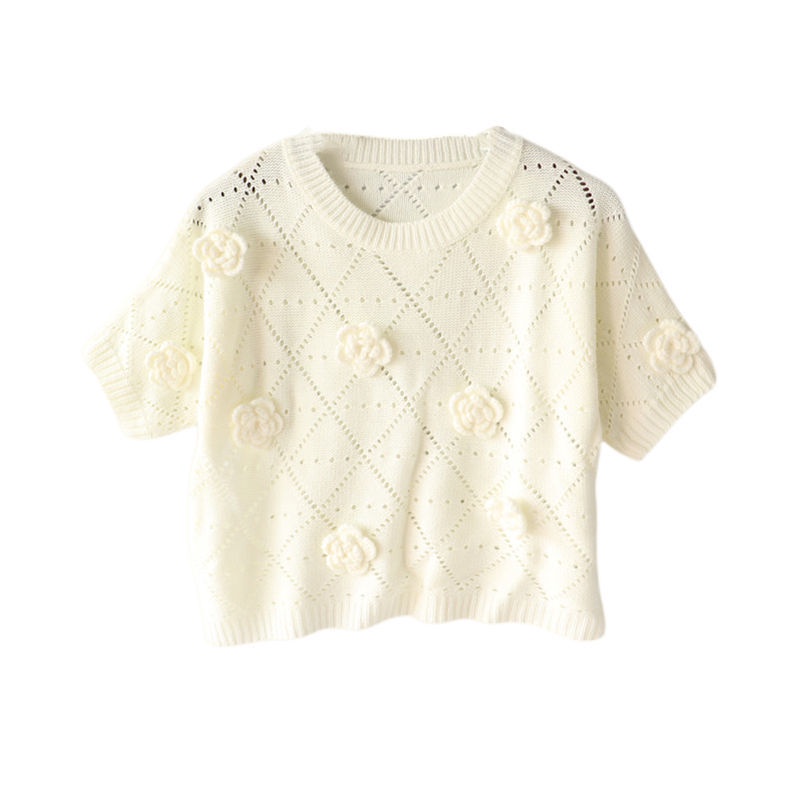 Áo Sweater Dệt Kim Tay Ngắn Cổ Tròn Thiết Kế Lỗ Lưới Thêu Họa Tiết Thời Trang Mùa Hè Mới Cho Nữ