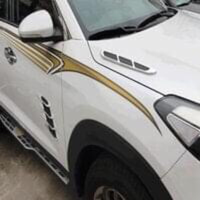 Bộ 2 miếng mang cá giả hốc gió dán trang trí sườn ô tô xe hơi.