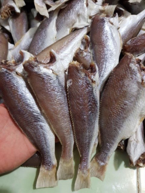 Khô cá lù đù 1 nắng Cà Mau