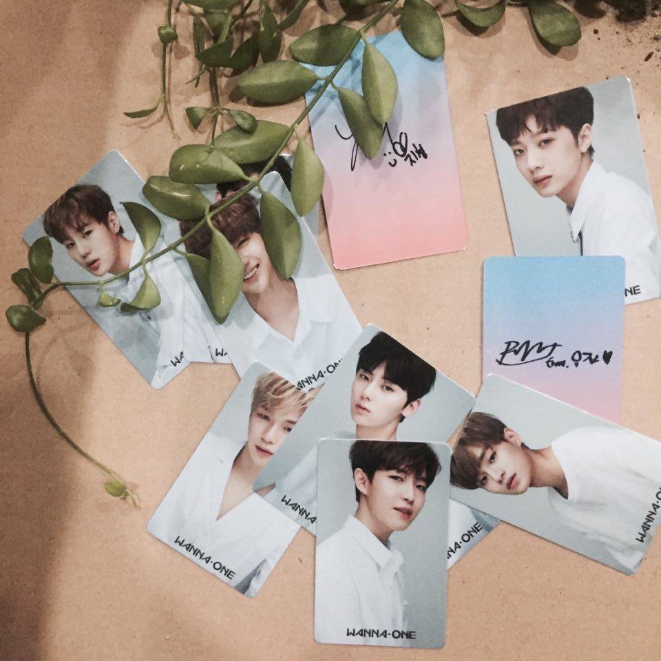 11 photocard Wanna One