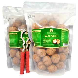 Combo 1kg Óc Chó Vàng của Mỹ _Tặng Kìm Kẹp Tách Vỏ Chuyên Dụng