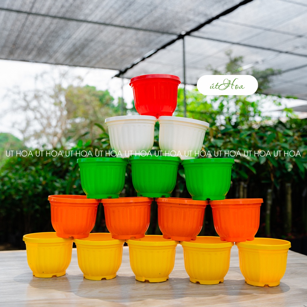 10 chậu bí 11x9 cm nhiều màu sắc trồng hoa kiểng siêu dễ thương