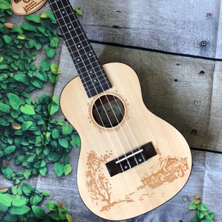 Đàn Ukulele Concert Gỗ Thông EQ-CB25