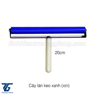 Cây lăn keo 20cm xịn