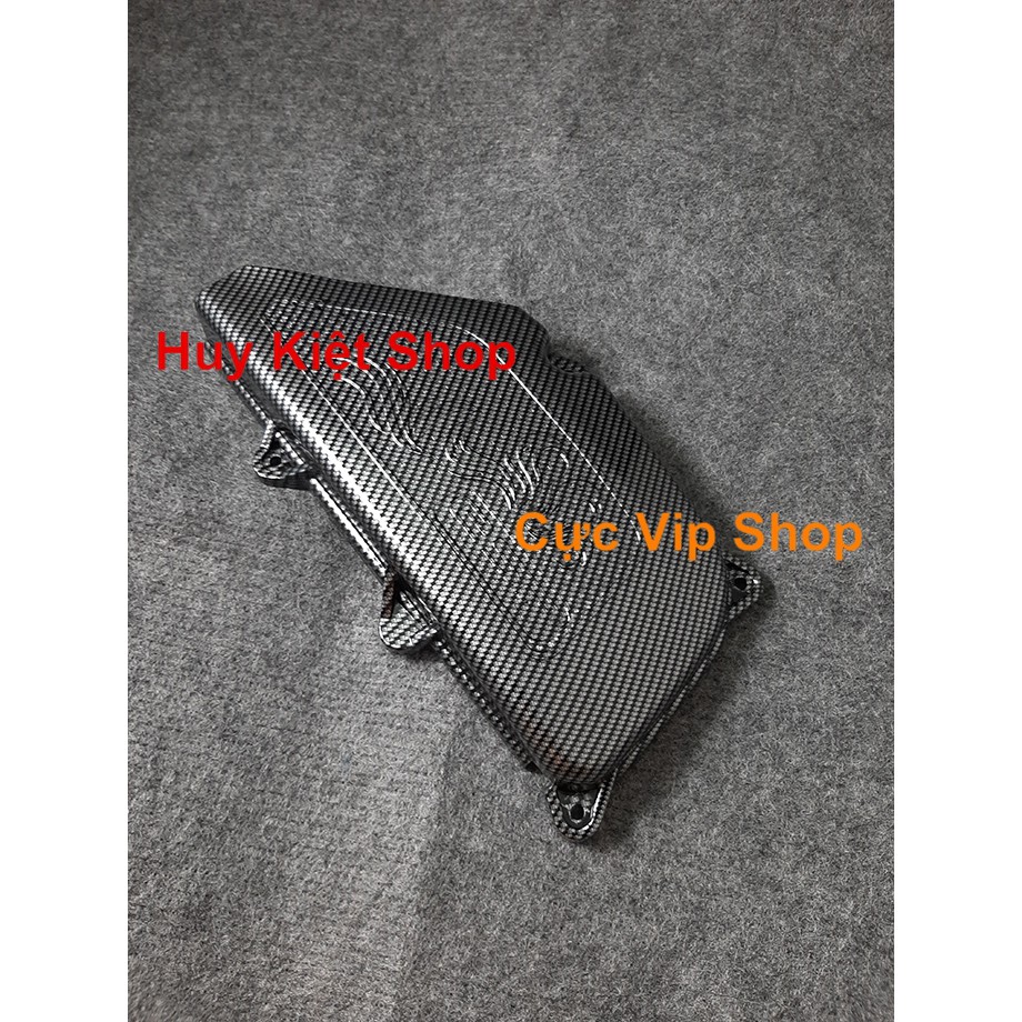 Chụp Pô E Lead 2017 - 2019 Carbon Cao Cấp 2046