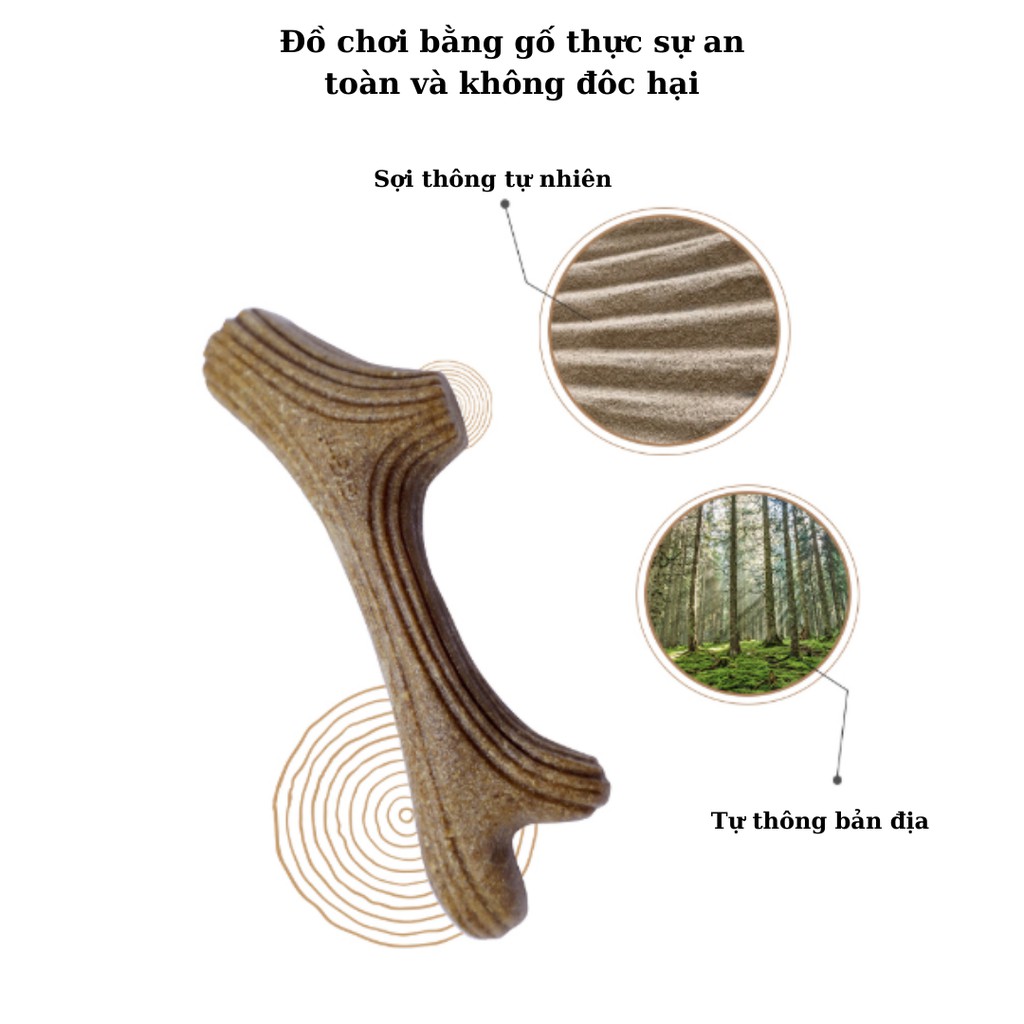 Gigwi Thanh gặm gỗ ép thiên nhân an toàn tuyệt đối khi nuốt phải cho cún