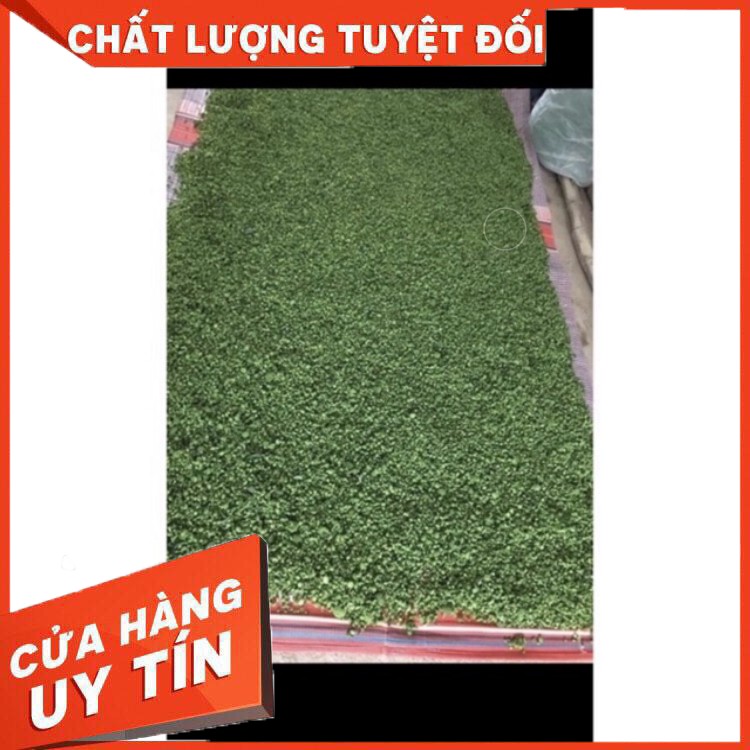 Nụ Hoa Tam Thất 500G dạng tấm Món Quà Thiên Nhiên