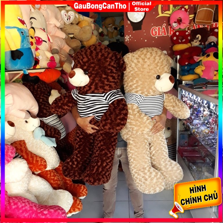 Gấu Teddy Khổ 1M2 Cao 1m - Gấu Bông Teddy Giá Rẻ