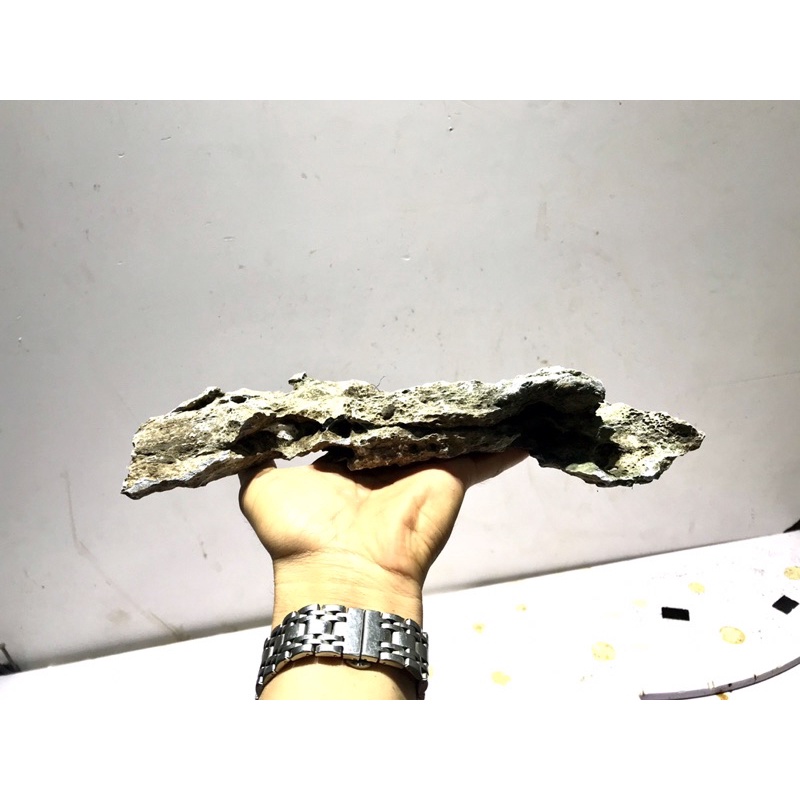 Đá vỉa trang trí bể cá 1kg