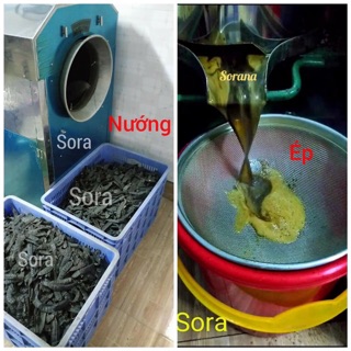 Nước gội bồ kết Sorana