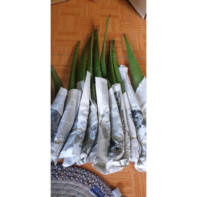 1kg lá nha đam