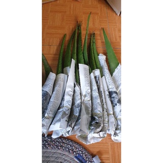 1kg lá nha đam