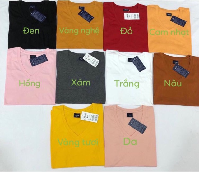 Áo thun cổ tim hiệu Polham xuất Hàn
