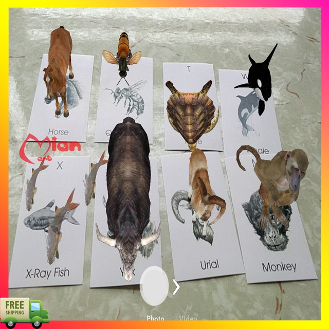 Bộ thẻ animal 4d hình ảnh động thực vật sinh động - MIAN MART