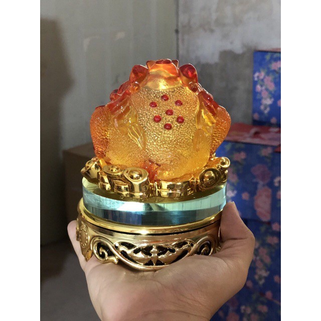 Combo cóc và ty hưu vàng lưu ly (Đế kính xoay đc)