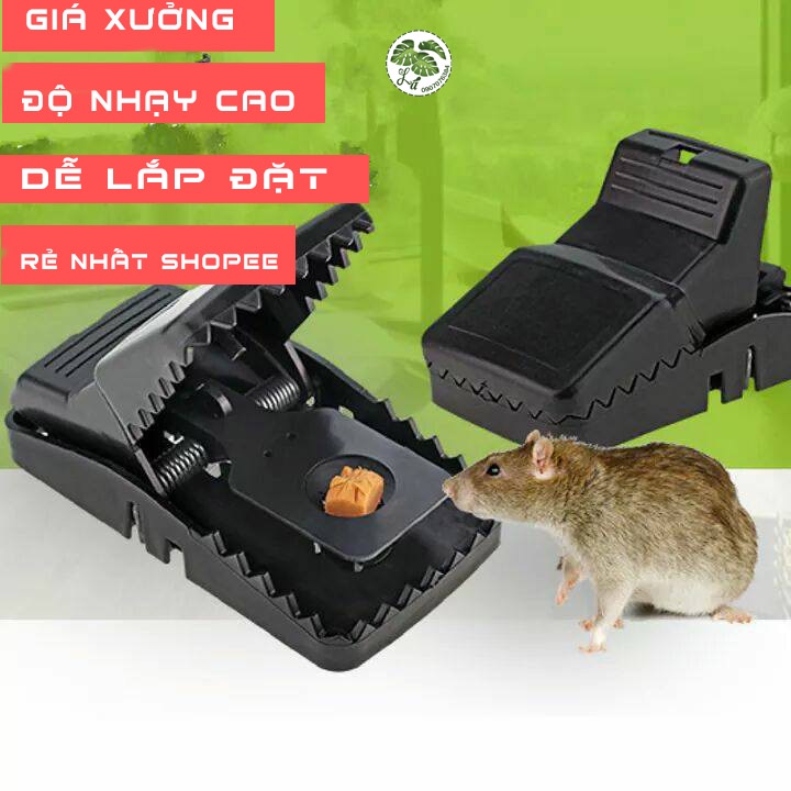 Bẫy chuột 🌸FREESHIP🌸 Giá sỉ đầu thùng 6k ĐEN THÔNG MINH