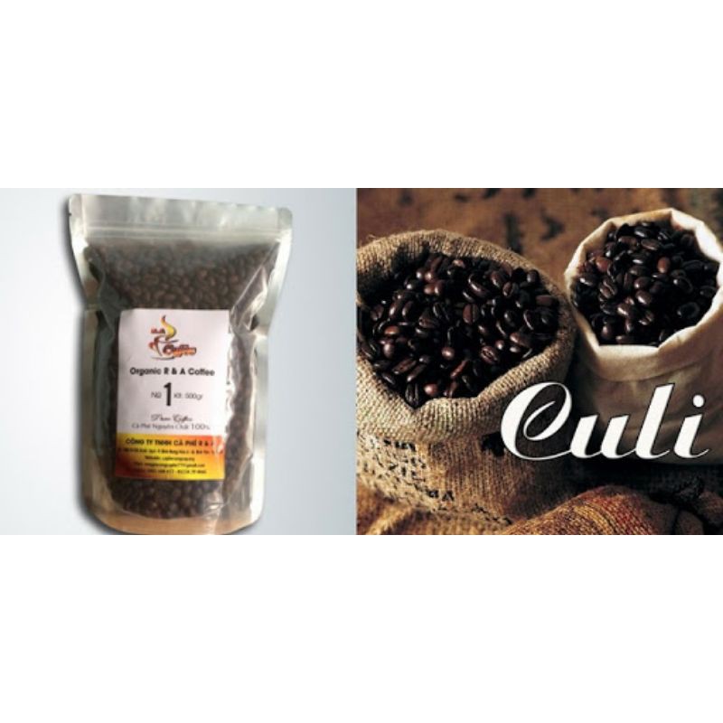 1kg nhân cà phê culi sống