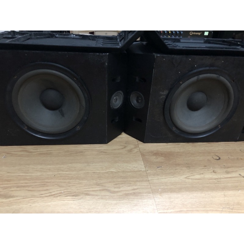 Loa thùng karaoke Bose20