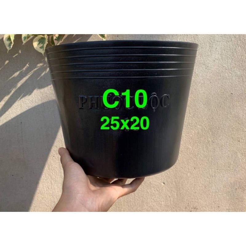 Combo 10 chậu đen C10 hàng đẹp Kt miệng 25cmx cao 21cm