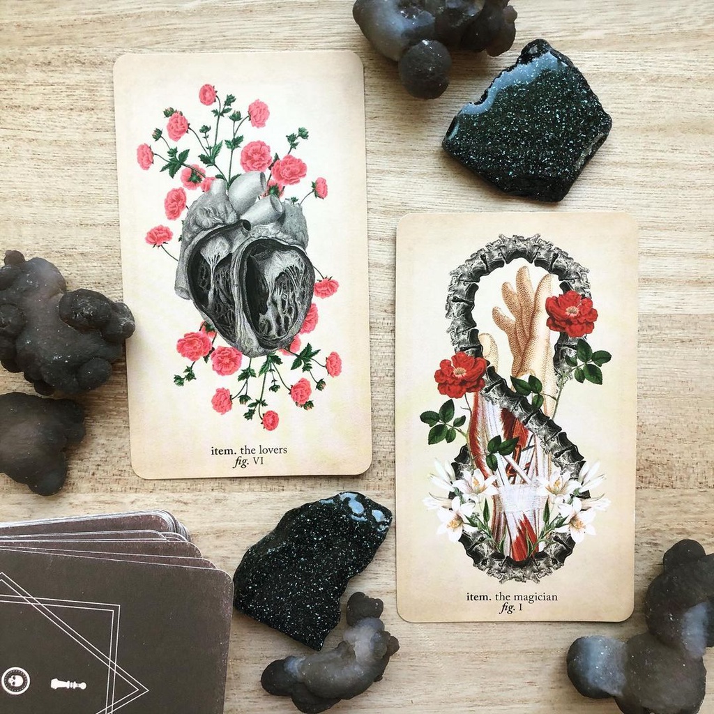 Bộ Bài Antique Anatomy Tarot (Mystic House Tarot Shop)