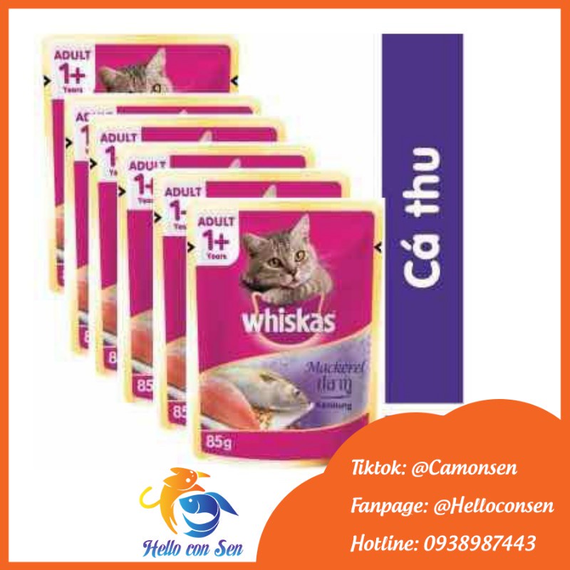 COMBO 6 PATE WHISKAS cho mèo trưởng thành date xa