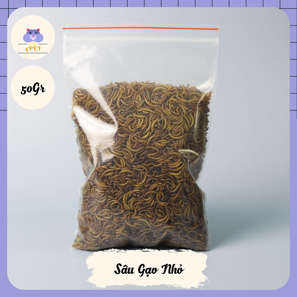 Sâu Gạo Mini Sấy cho Hamster [20gr 10k]