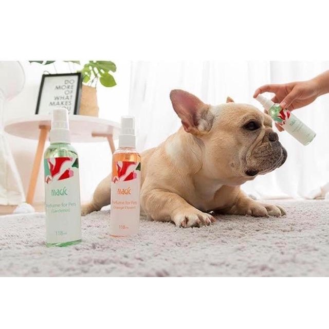 Nước hoa Magic cho thú cưng 118ml