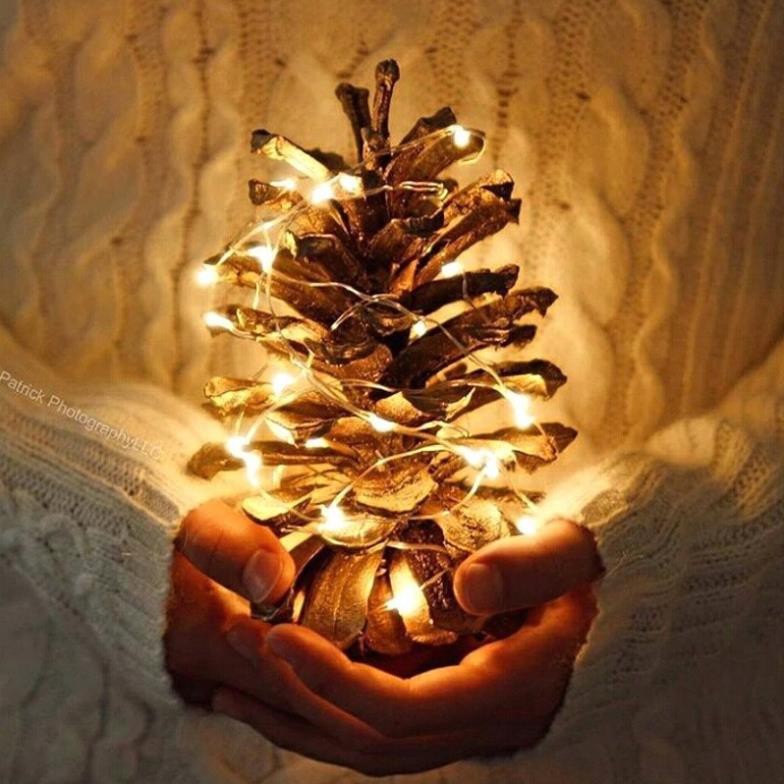Đèn LED dây đồng 5m dùng trang trí tiệc noel Giáng Sinh tuyệt đẹp (đèn đom đóm)