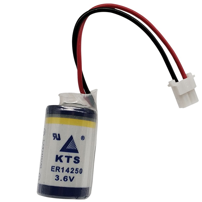 Pin KTS ER14250 3.6V 1/2 AA Pin PLC Delta