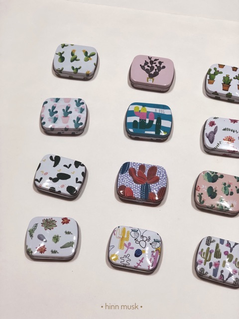 Hộp sắt mini xương rồng