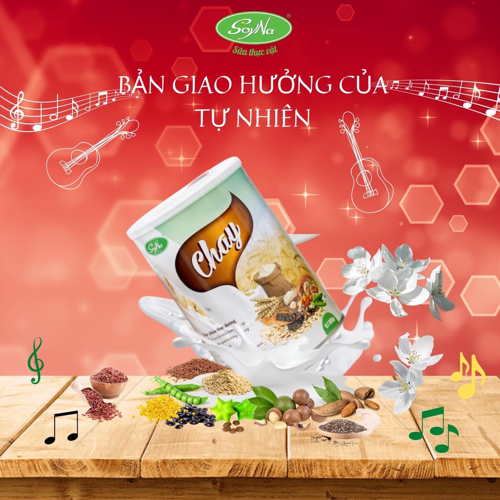Sữa Thực Vật Chay Soyna 800g chính hãng tặng kèm 1 hộp Sữa Hạt và 1 gói Sữa Chay