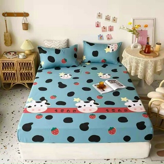Bộ ga gối cotton