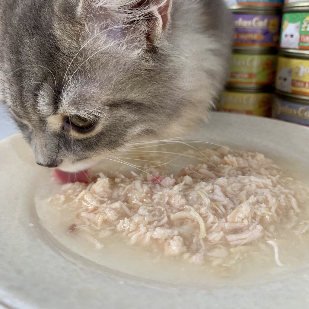 Pate AATas lon cho mèo 80g - Pate mèo lon Aatas Cat nhập khẩu Thái Lan - XOIML