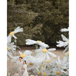 Hoa Bacdrop Cúc khổng lồ Decor sự kiện, cưới hỏi, nhà hàng, Studio, đạo cụ chụp ảnh, tiệc cưới ngoài trời....