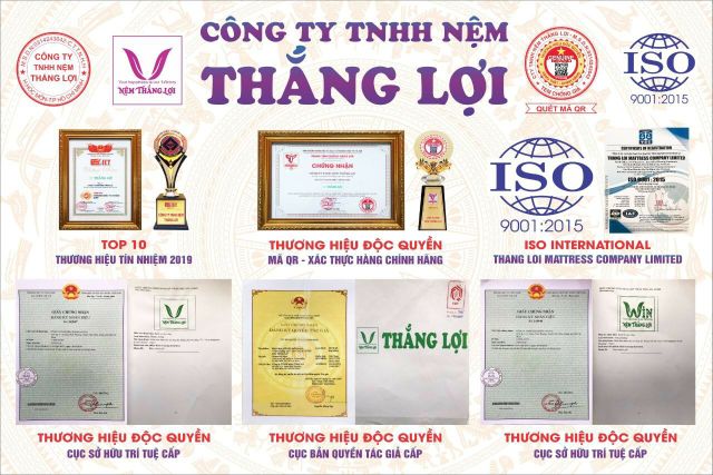 Nệm cao su non Thắng Lợi dày 10cm