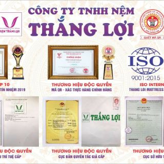 Nệm cao su non Thắng Lợi (Ko quà)