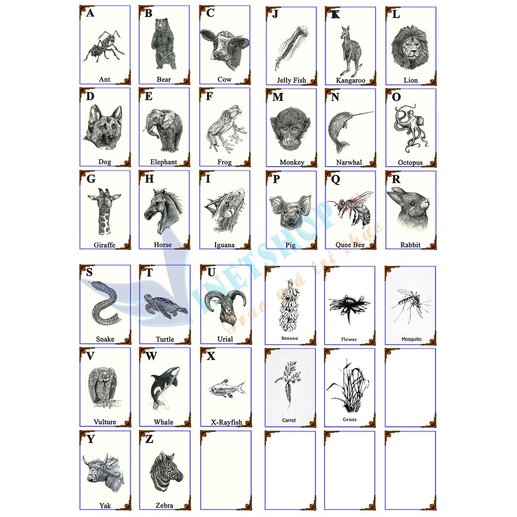 Lịch Sử Giá Bộ Thẻ Hình Ảnh Animal 4D Hình Con Vật Cho Bé Cập Nhật 5/2023 -  Beecost