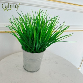 Cây Giả - Chậu Cây Lúa Non Để Bàn
