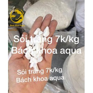 Sỏi Trắng trang trí bể cá thủy sinh