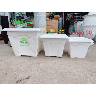 Chậu vuông nhựa cao cấp cỡ lớn trồng cây ăn trái - tht