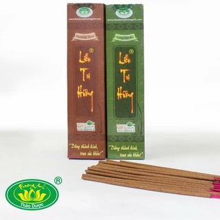 Liễu tri hương 20cm 200 cây