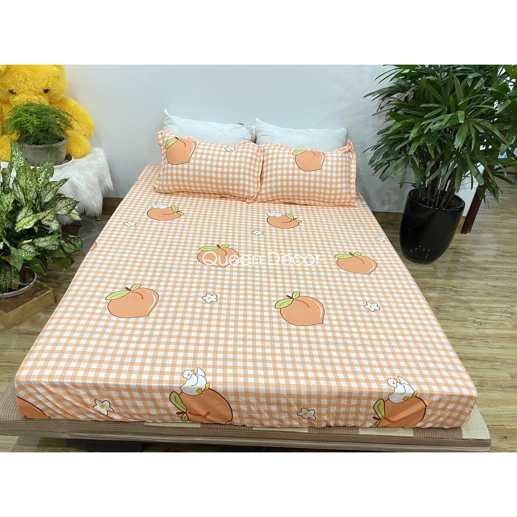 Ga Giường Nệm Cotton Poly M2 M6 M8, Drap Trải Giường Bốn Mùa (Miễn Phí Bo Chun) - Queen Decor | BigBuy360 - bigbuy360.vn