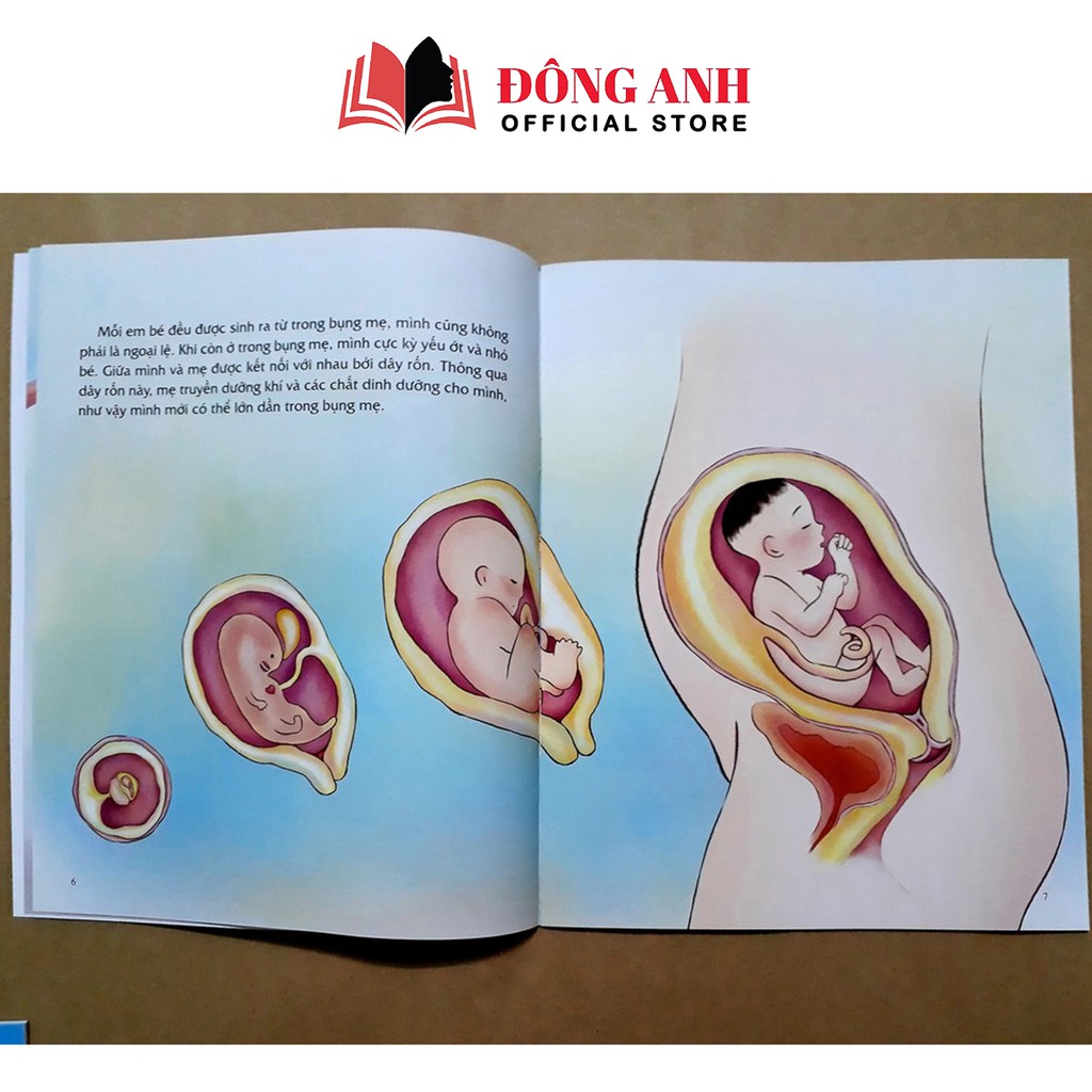 Sách - Combo 4 cuốn Giáo Dục Giới Tính Và Nhân Cách dành cho bé gái từ 5-12 tuổi